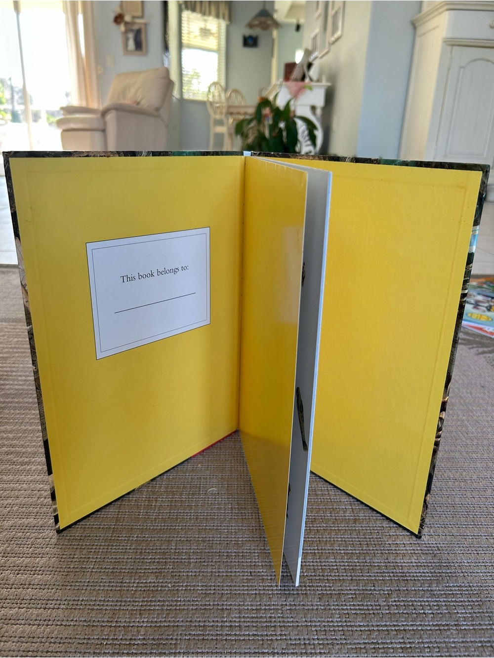 Scholastic I SPY Picture Riddles Collection - Picture 2 of 5